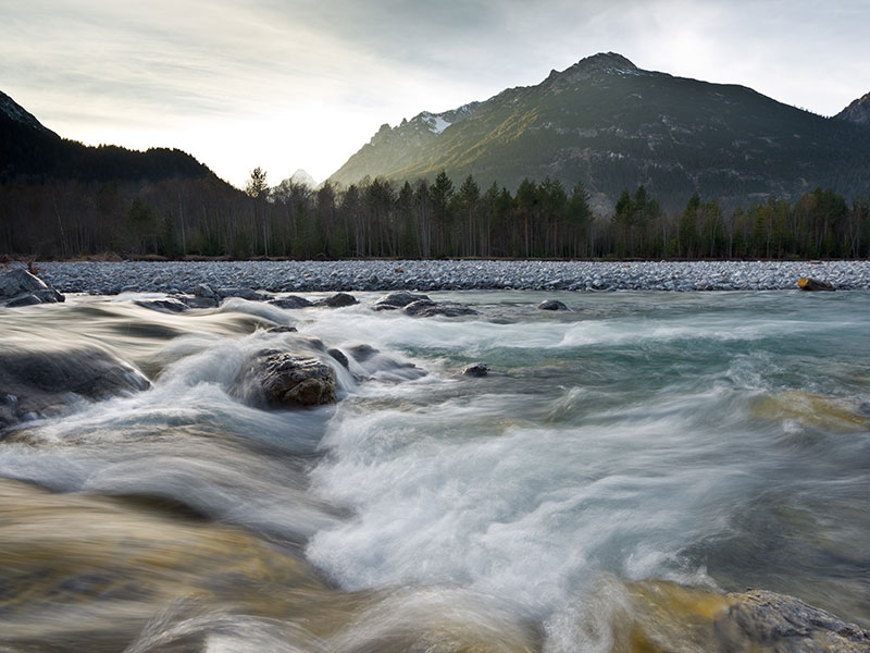Wildfluss Lech