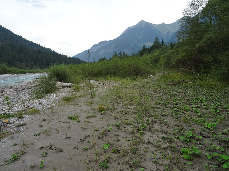 Projektgebiet: Alach-Rauchwand