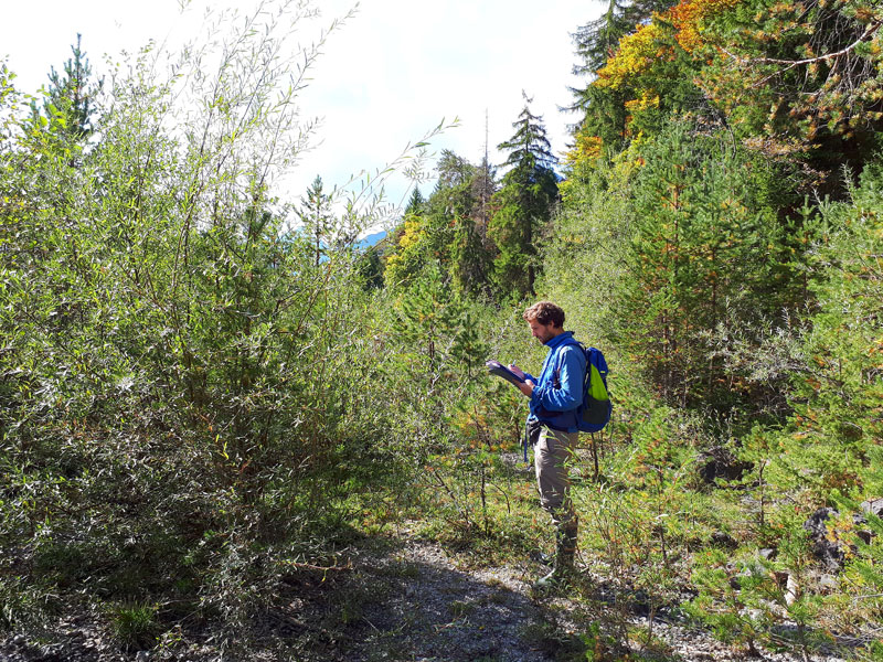 Monitoring Vegetation in Weißenbach