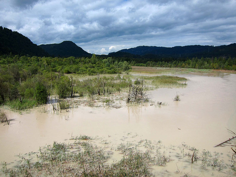 Hochwasser in der Pflacher Au