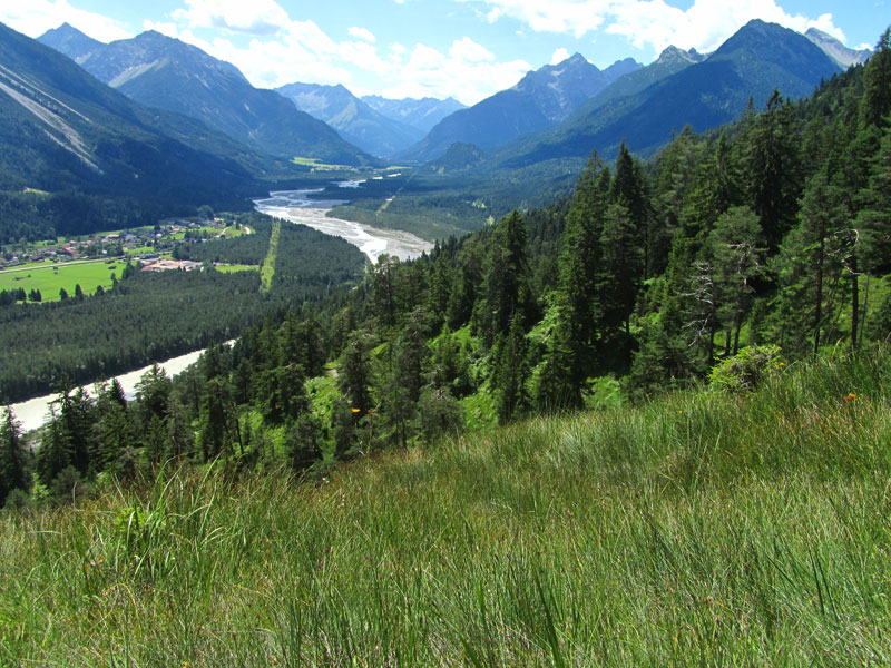 Kalkreiche Niedermoore