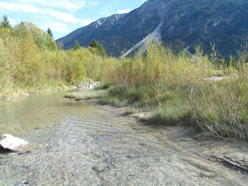 Alpine Flüsse mit krautiger Ufervegetation