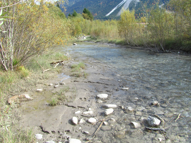 Alpine Flüsse mit krautiger Ufervegetation