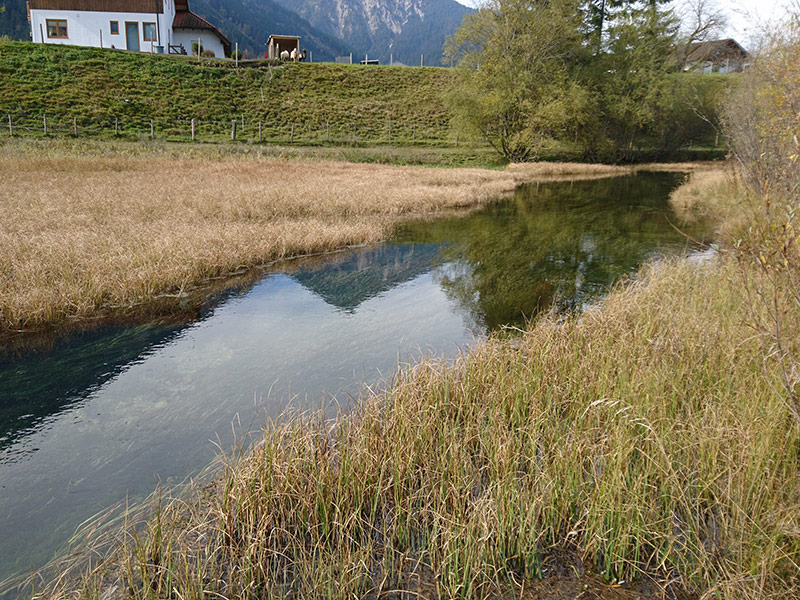 Flüsse der planaren bis montanen Stufen