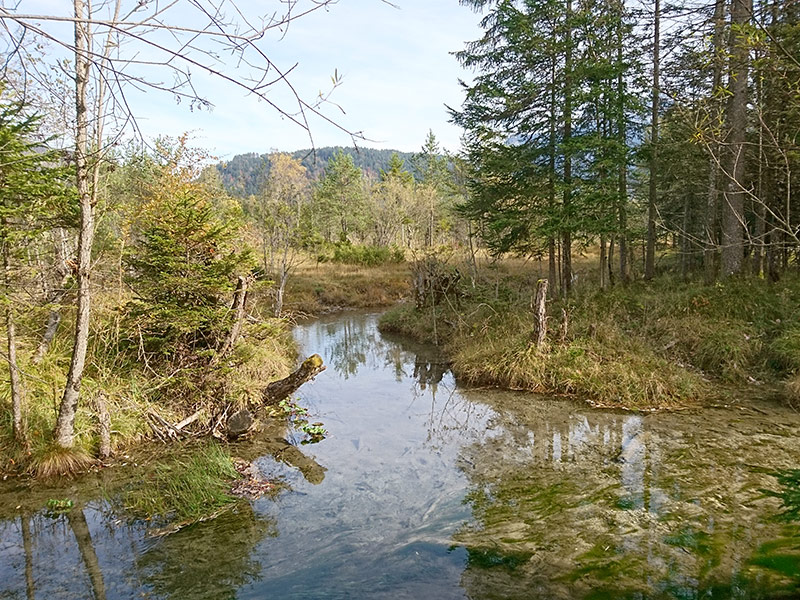 Flüsse der planaren bis montanen Stufen